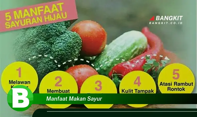 Ketahui Manfaat Makan Sayur yang Wajib Kamu Tau