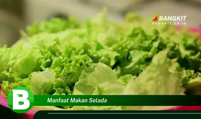 Intip Manfaat Makan Selada yang Wajib Kamu Tau