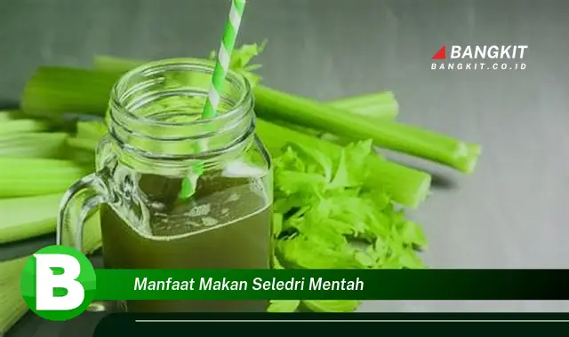 Intip Manfaat Makan Seledri Mentah yang Bikin Kamu Penasaran