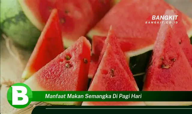 Intip Manfaat Makan Semangka di Pagi Hari yang Bikin Kamu Penasaran