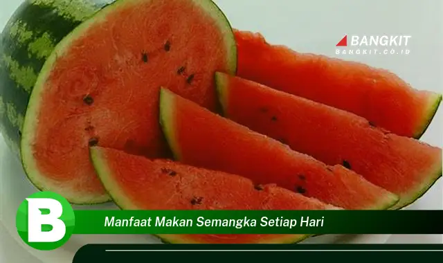 Intip Manfaat Makan Semangka Setiap Hari yang Wajib Kamu Tahu