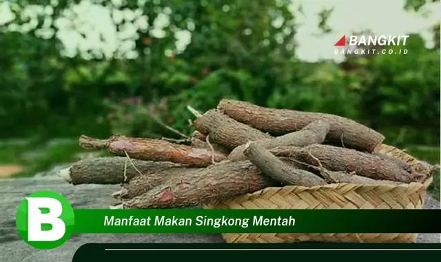 Ketahui Manfaat Makan Singkong Mentah yang Wajib Kamu Tau