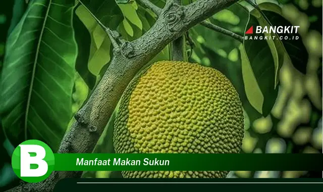 Intip Manfaat Makan Sukun yang Bikin Kamu Penasaran