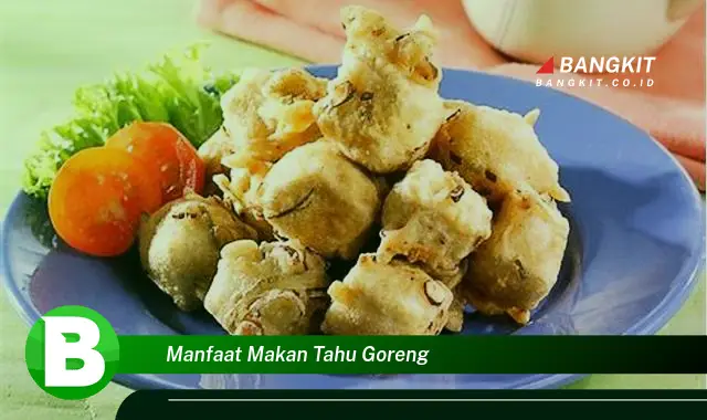 Intip Manfaat Makan Tahu Goreng yang Bikin Kamu Penasaran