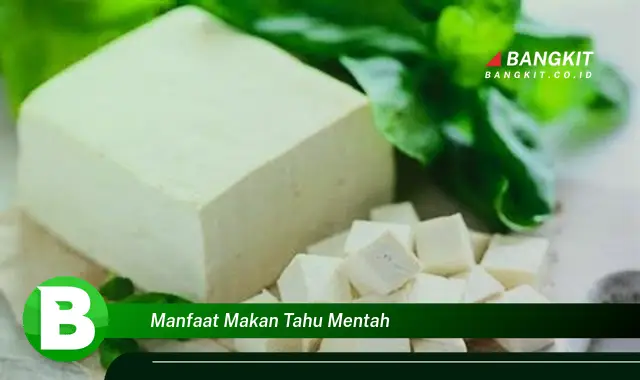 Intip Manfaat Makan Tahu Mentah yang Bikin Kamu Penasaran