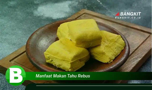 Temukan Manfaat Makan Tahu Rebus yang Bikin Kamu Penasaran