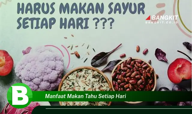 Temukan Manfaat Makan Tahu Setiap Hari yang Wajib Kamu Intip