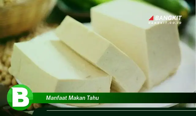 Ketahui Manfaat Makan Tahu yang Bikin Kamu Penasaran