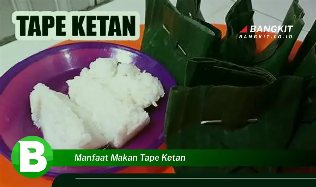 Intip Manfaat Makan Tape Ketan yang Bikin Kamu Penasaran