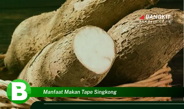 Temukan Manfaat Makan Tape Singkong yang Bikin Kamu Penasaran