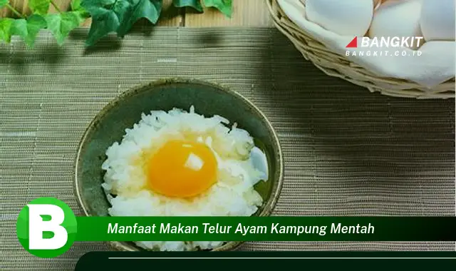 Intip Manfaat Makan Telur Ayam Kampung Mentah yang Bikin Kamu Penasaran