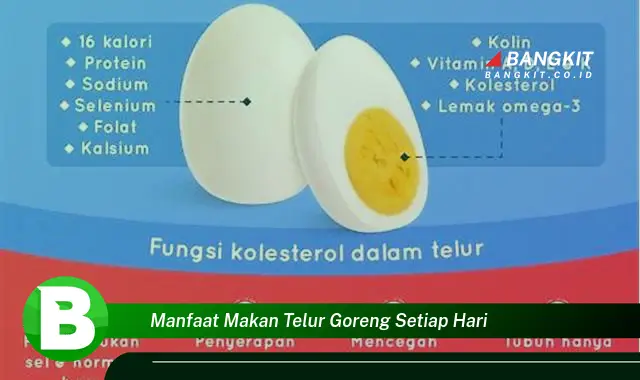 Temukan Manfaat Makan Telur Goreng Setiap Hari yang Wajib Kamu Intip