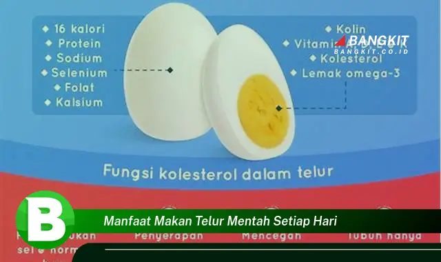 Ketahui Manfaat Makan Telur Mentah Setiap Hari yang Bikin Penasaran