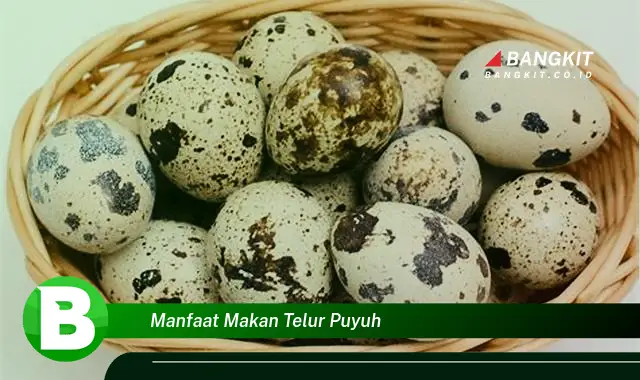 Intip Manfaat Makan Telur Puyuh yang Wajib Kamu Intip