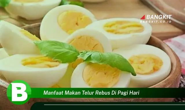 Intip Manfaat Makan Telur Rebus di Pagi Hari yang Bikin Kamu Penasaran