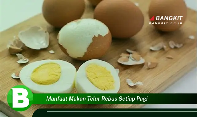 Intip Manfaat Makan Telur Rebus Tiap Pagi yang Bikin Kamu Penasaran