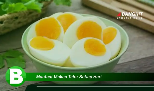 Ketahui Manfaat Makan Telur Setiap Hari yang Bikin Kamu Penasaran