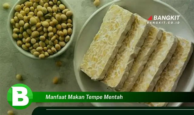 Intip Manfaat Makan Tempe Mentah yang Bikin Kamu Penasaran