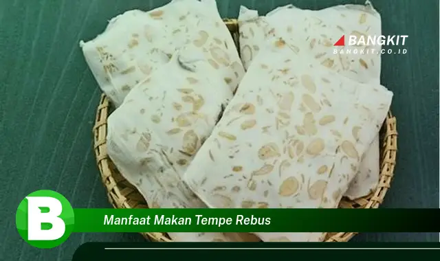 Intip Manfaat Makan Tempe Rebus yang Bikin Kamu Penasaran