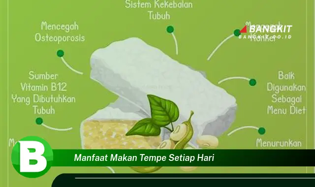 Temukan Manfaat Mengejutkan Makan Tempe Setiap Hari yang Wajib Kamu Tahu