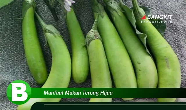 Ketahui Manfaat Makan Terong Hijau yang Bikin Kamu Penasaran