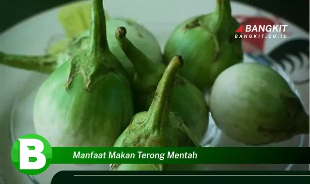 Temukan Manfaat Makan Terong Mentah yang Bikin Kamu Penasaran