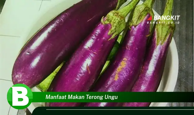 Temukan Manfaat Makan Terong Ungu yang Wajib Kamu Intip