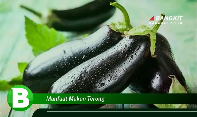 Intip Manfaat Makan Terong yang Wajib Kamu Tahu