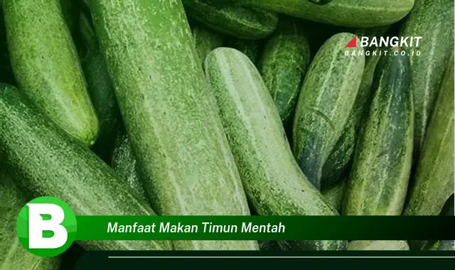 Intip Manfaat Makan Timun Mentah yang Bikin Kamu Penasaran