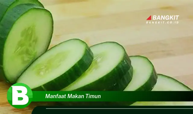 Temukan Manfaat Makan Timun yang Wajib Kamu Intip