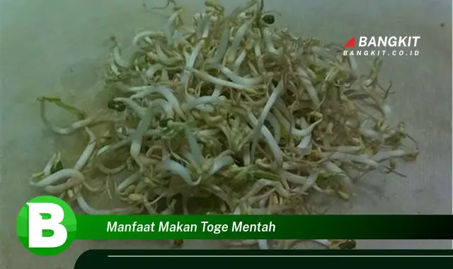 Intip Manfaat Makan Toge Mentah yang Bikin Kamu Penasaran