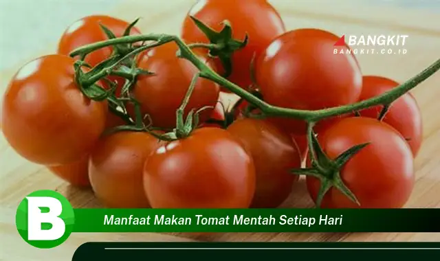 Temukan Manfaat Makan Tomat Mentah Setiap Hari yang Bikin Kamu Penasaran