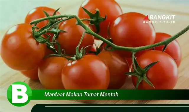 Temukan Manfaat Makan Tomat Mentah yang Wajib Kamu Ketahui