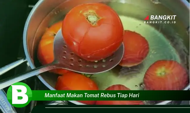 Temukan Manfaat Makan Tomat Rebus Tiap Hari yang Wajib Kamu Intip!