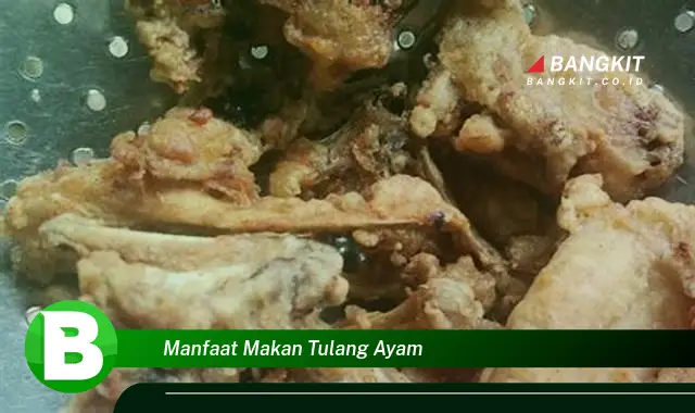 Ketahui Manfaat Makan Tulang Ayam yang Bikin Kamu Penasaran