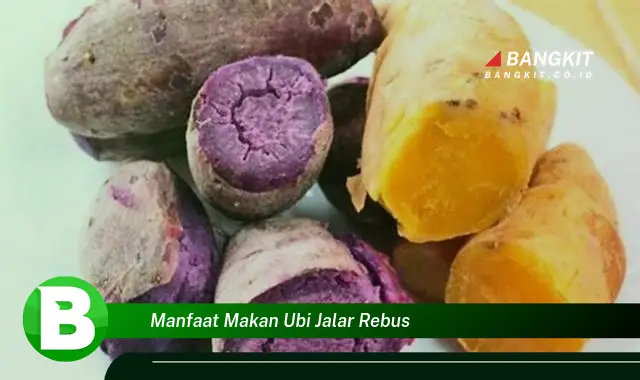 Temukan Manfaat Makan Ubi Jalar Rebus yang Bikin Kamu Penasaran