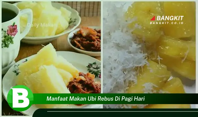 Temukan Manfaat Makan Ubi Rebus di Pagi Hari yang Bikin Kamu Penasaran