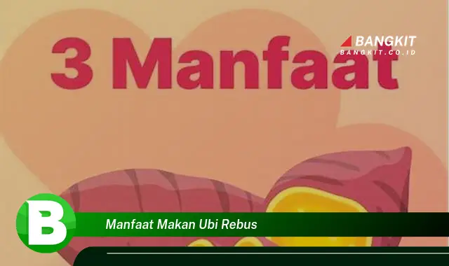 Temukan Manfaat Makan Ubi Rebus yang Wajib Kamu Ketahui