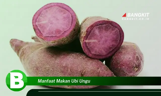 Intip Manfaat Makan Ubi Ungu yang Wajib Kamu Tau