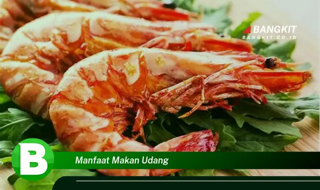 Intip Manfaat Makan Udang yang Wajib Kamu Tahu