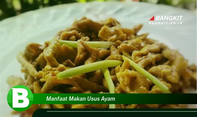 Intip Manfaat Makan Usus Ayam yang Bikin Kamu Penasaran