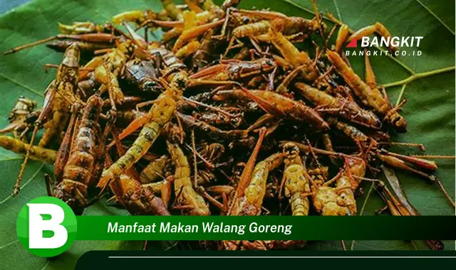 Intip Manfaat Makan Walang Goreng yang Bikin Kamu Penasaran