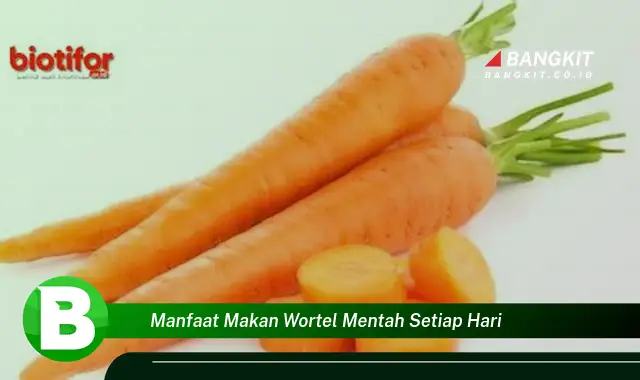 Temukan Manfaat Makan Wortel Mentah Setiap Hari yang Bikin Kamu Penasaran