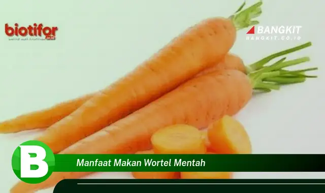 Temukan Manfaat Makan Wortel Mentah yang Bikin Kamu Penasaran