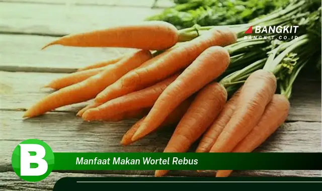 Ketahui Manfaat Makan Wortel Rebus yang Wajib Kamu Tau