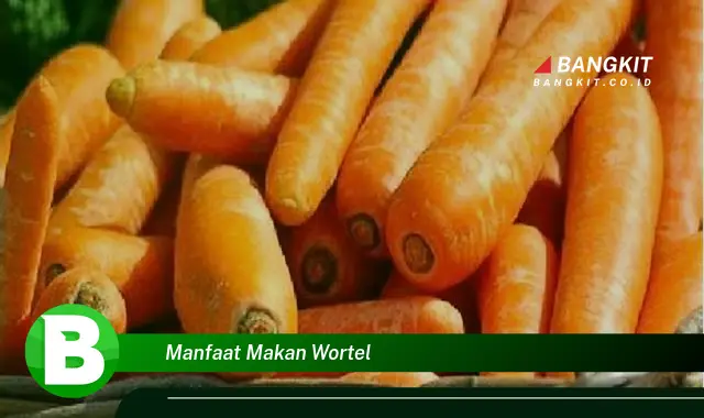 Intip Manfaat Makan Wortel yang Wajib Kamu Tahu