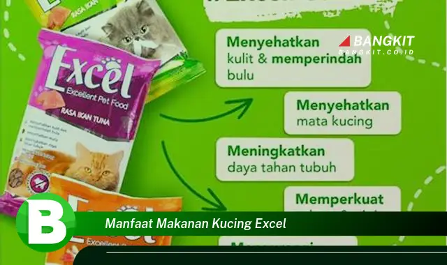 Ketahui Manfaat Makanan Kucing Excel yang Bikin Kamu Penasaran