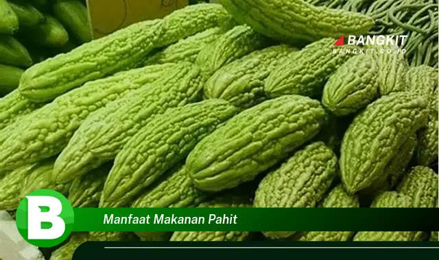 Ketahui Manfaat Makanan Pahit yang Bikin Kamu Penasaran