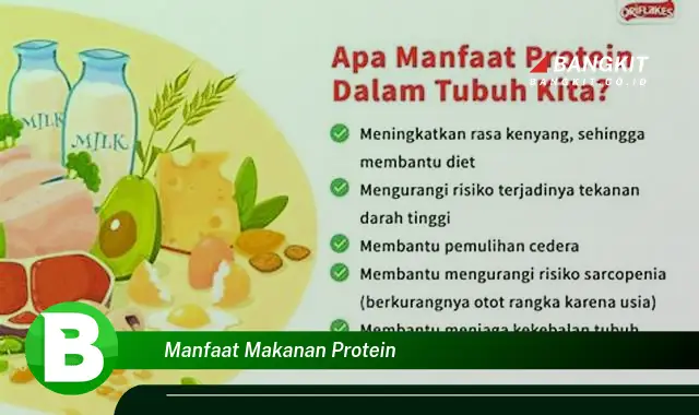 Intip Rahasia Protein: Manfaat yang Bikin Kamu Penasaran