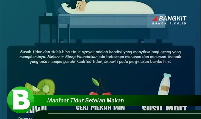 Intip Manfaat Tidur Setelah Makan yang Wajib Kamu Tahu